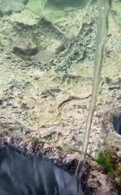 You spin me right ‘round, baby, right ‘round Like a record, baby, right ‘round.