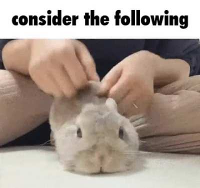 I have never said a bad word on Reddit on fucking god