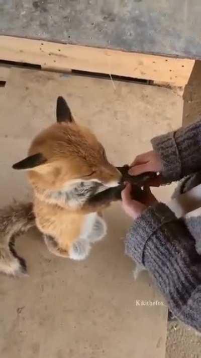 this makes me so happy 🥺