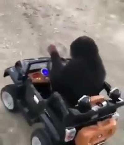 Monke drive car
