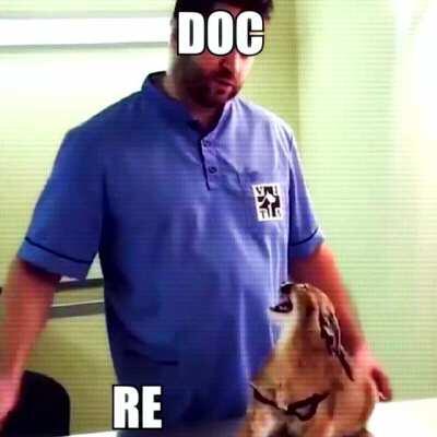 Thats a normal day to me