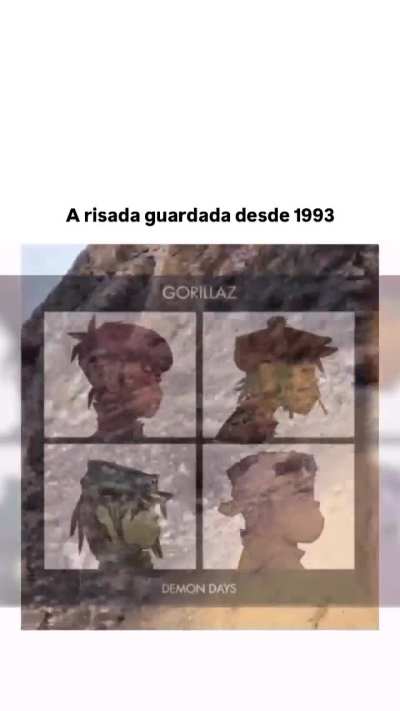 gorilas