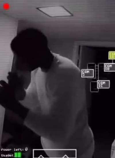 the Animatronics do get a bit quirky tho