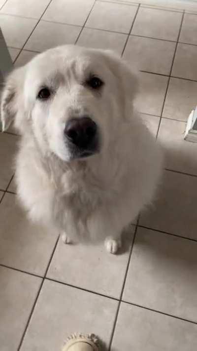 Somebody got her hair done ☺️