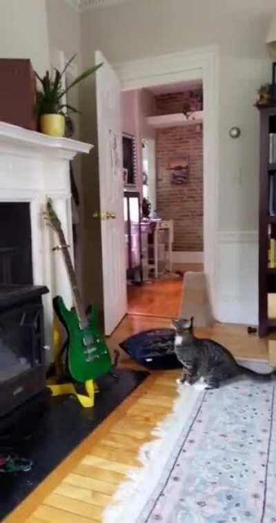 Winslow Miscalculates