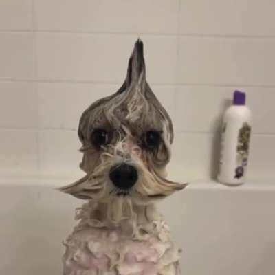 14 seconds of bath-time shaming.