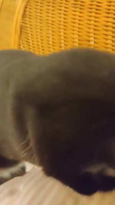 I was told this belongs here...