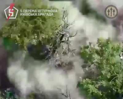 Ukrainian 5th Assault Brigade's UAV units took out Russian soldiers in the Chasiv Yar and Kramatorsk direction. Published 05.10.2025