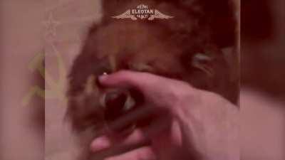 TODOS CANTEMOS O HINO DA PÁTRIA MÃE RUSSIA 🇨🇳