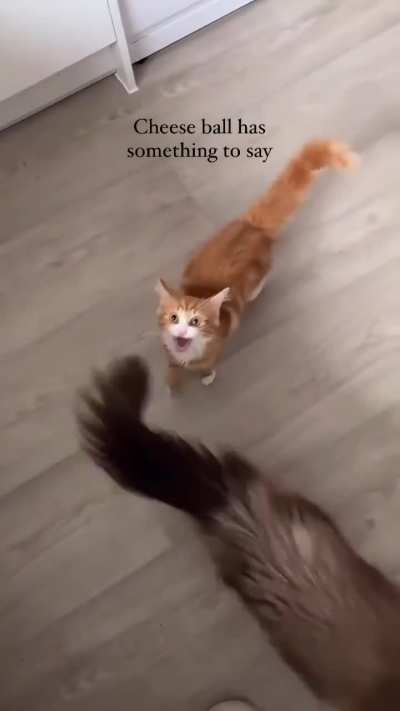 Employed as air-raid siren