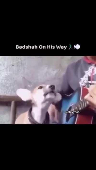 Challa ki Labda Fire Dogo Dubbed,Music by Chapri