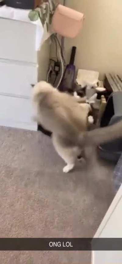 Calculated take down