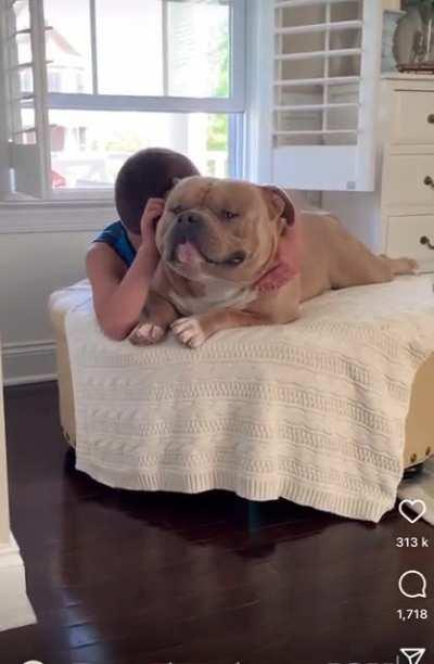 An absolute unit of a chunky boy