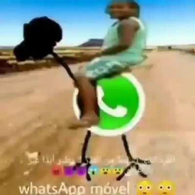 👻🙀👹🙀💝👺🙀💝🙀👺🤮🤮🤧🤓😎🤢🤢🤮😎🤓🤓🤓🤓😳🥵😭😐🤤😳🤤✈🤤🦾😚😚😉😉😗🙂😗😚😙😉😚😀✈🏢🏢