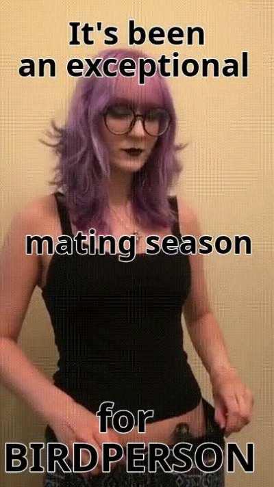 Things are finally looking up!