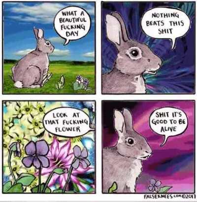 Just another Weednesday