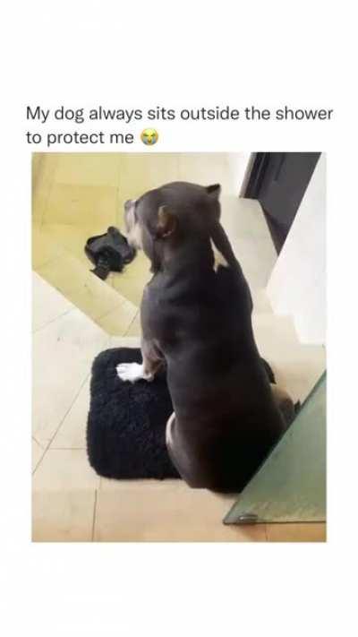 This Dog ways sits outside the Shower to Protect its Owner