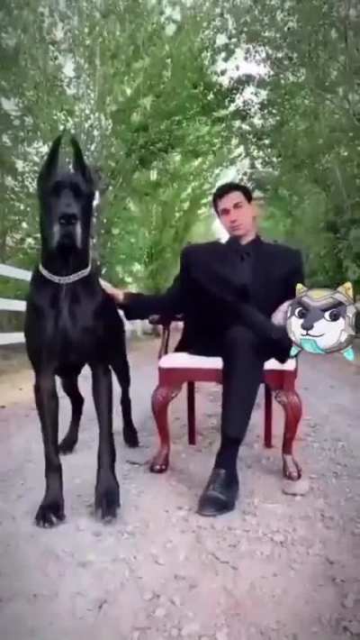 O último ngm esperava