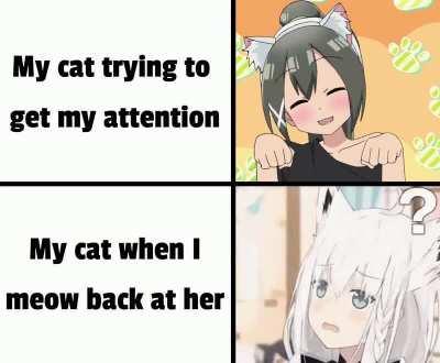 Dafuq you say human?