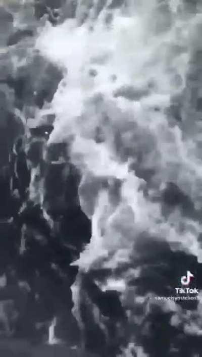 This guy jumped on a whale to cut a rope that was around her body. True hero