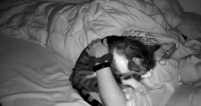 he's quite the pianist