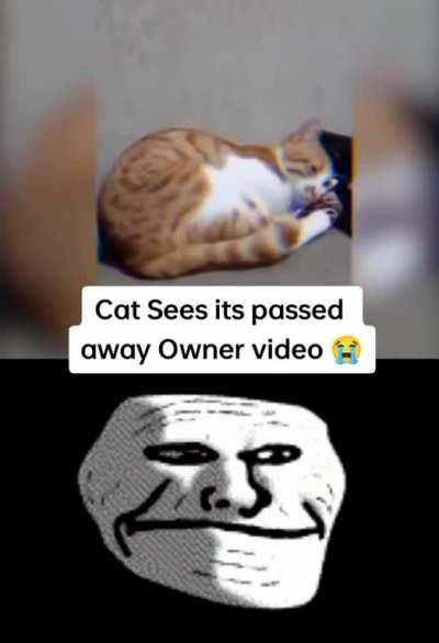 I broke down while watching this