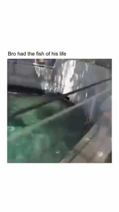 I think he liked the fish