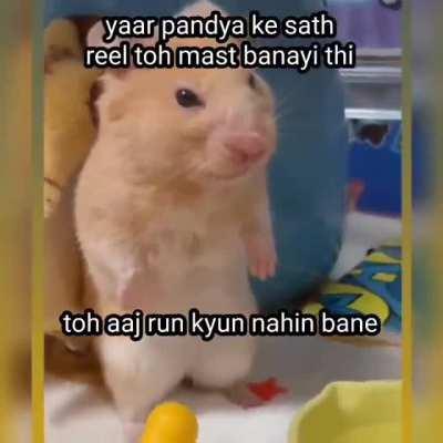 CricketShitpost - Video #2908