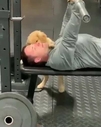 spotting partner, not quite getting it!