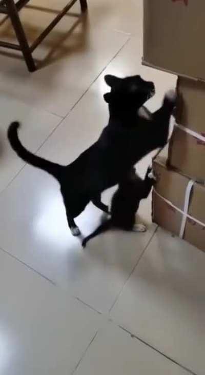 Teaching what matters most