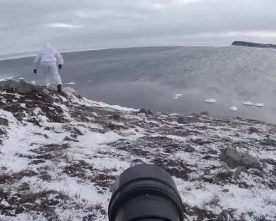 This photographer is playing a potentially deadly fight or flight game with polar bear