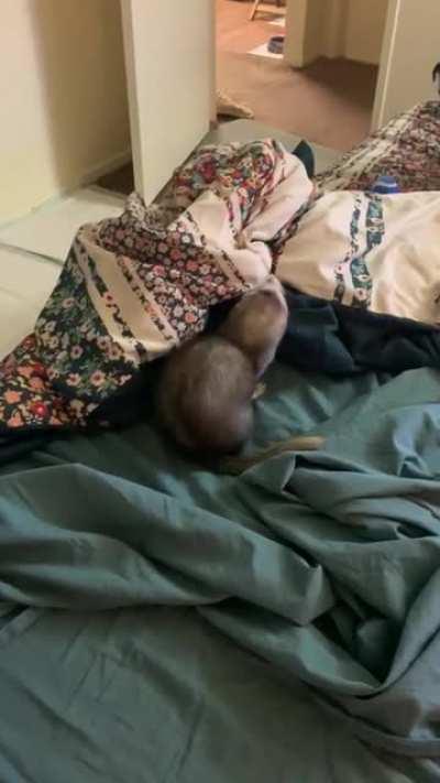 Trying to impress your crush but they don&rsquo;t know you exist