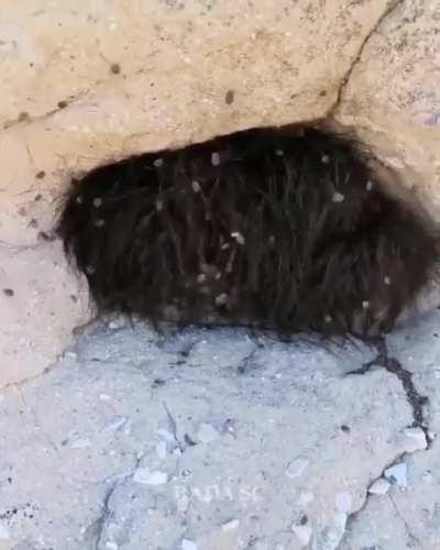 Thanks, I hate this hole