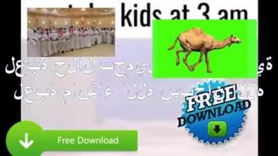 everybody go on r/arabfunny top hallal content 100% no haram