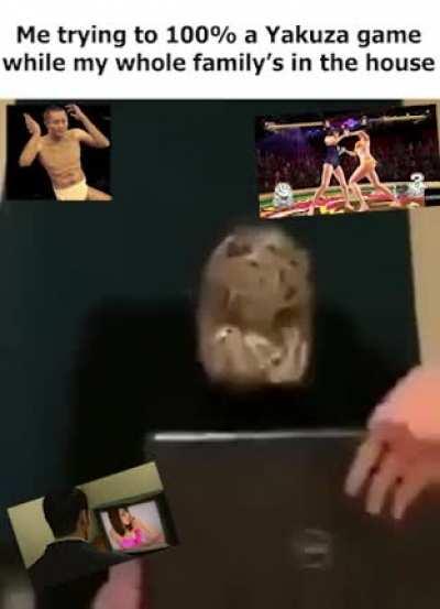 stop with the softcore porn RGG