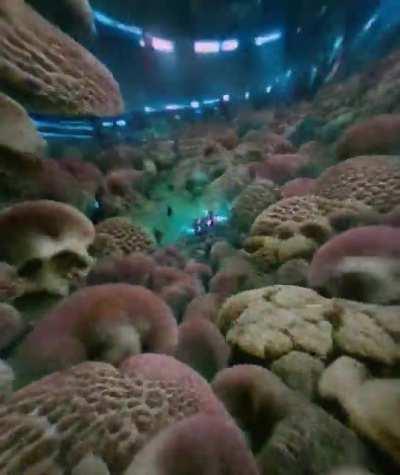 This is indeed trippy