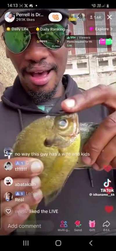 Dreamy playing around with fish