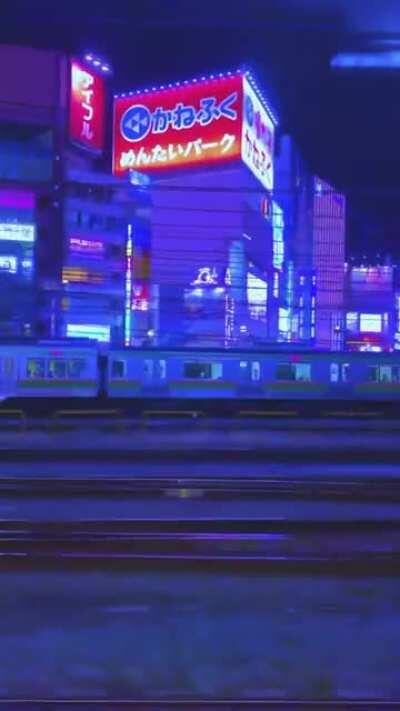 Insane train views (Tokyo, Japan) (OC)