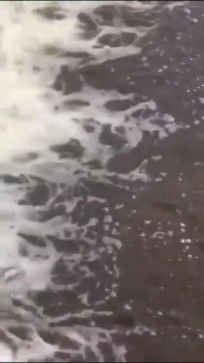 The Mother does everything for her children