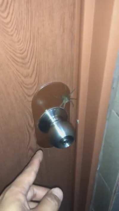 To leave the bathroom