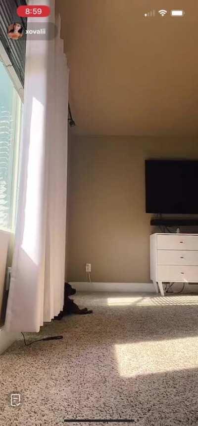 Abrupt end to live stream