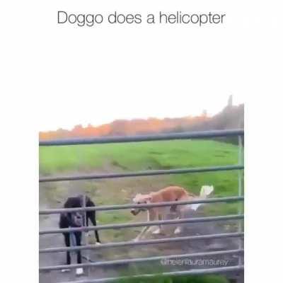 Perfect round wiggle doesn’t exis