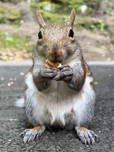 Hangouts with Vivian 💜