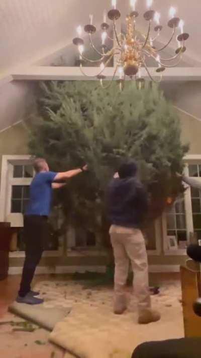 “It’s only 16 feet”