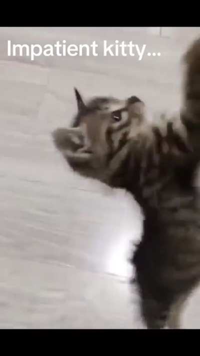 wunk is withering away to DUST