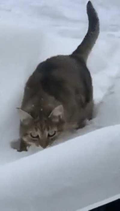 This must be solid floor