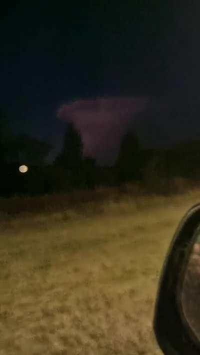 what the hell is this