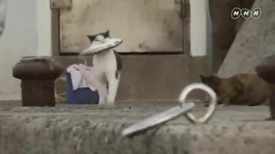 Littlе Аsshоlе Stеаls Fishеrmаns Саtсh. . .