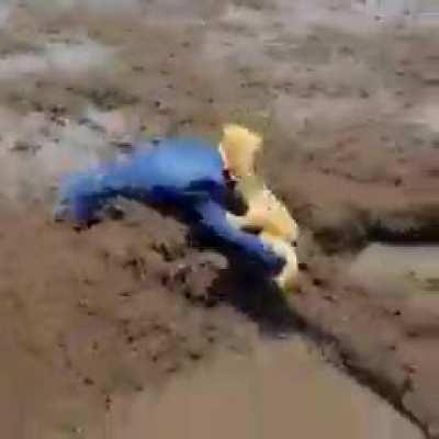 Donald goes crab hunting