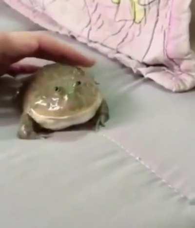 Not sure what to say here...